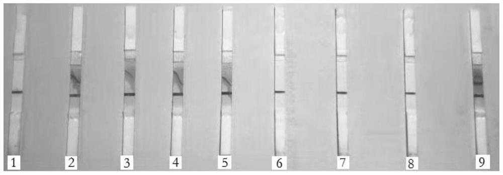 一種犬干擾素突變體重組融合蛋白及其制備方法和應用